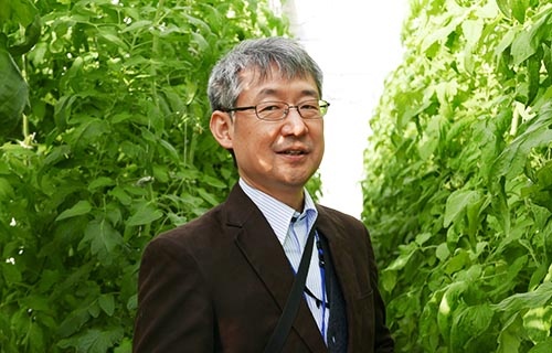 今西俊介(いまにし・しゅんすけ)氏<br />農研機構 野菜花き研究部門 「施設野菜実証」果実形成ユニット長。遺伝子や植物ホルモン、糖などの代謝産物などがどのように変化するかを調べる「オミクス」解析という方法論を取り入れて、高品質・多収栽培技術の開発を進めている。(写真:高山和良)
