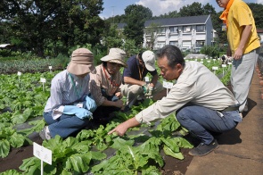 座学の時間の一方で、畑でも指導が行われる