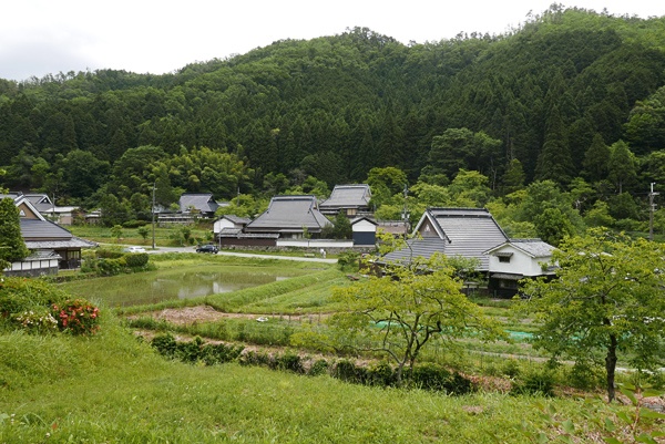 新緑の丸山集落。里山の中に古民家が絶妙のバランスで配置されている。日本の原風景とも言える美しさだ（写真：高山和良）