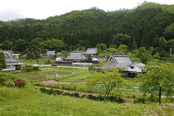 新緑の丸山集落。里山の中に古民家が絶妙のバランスで配置されている。日本の原風景とも言える美しさだ(写真:高山和良)