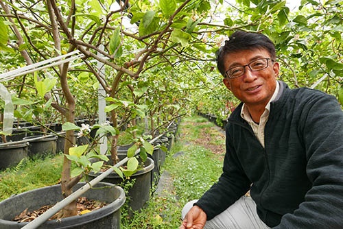 ハウス内で「ボックス栽培」という方法で育てるレモンを前に語る河合浩樹さん。「ボックス栽培」は、木を地面に直接植えるのではなく、鉢に植えて根の広がりを制限しながら育てる手法。樹勢は弱くなるが、果実生産をする上で様々なメリットが得られるという。(写真:高山和良)