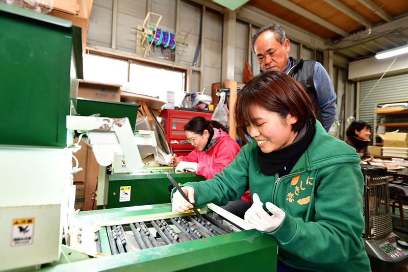 北川さんのアドバイスを受けながら黒枝豆を選別する（写真：水野浩志）