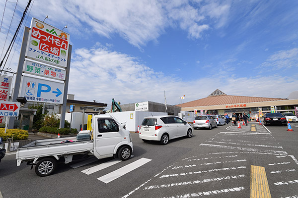 月曜日だったにもかかわらず賑わいを見せる。駐車場は満杯だ（写真＝水野浩志）