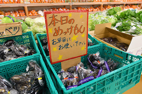 段ボール紙に、商品名や値段、「本日のめっけもん」などと書かれたものが至る所に見られる。天井からも手作りの看板がぶら下がる（写真＝水野浩志）