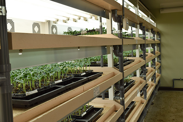 東日本の野菜苗の生産拠点となるベルグ福島の閉鎖型テラス