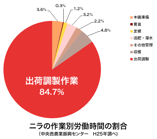 ニラの生産・出荷工程の中で、そぐり以降の出荷調整作業、つまり、後工程にいちばん時間がかかる