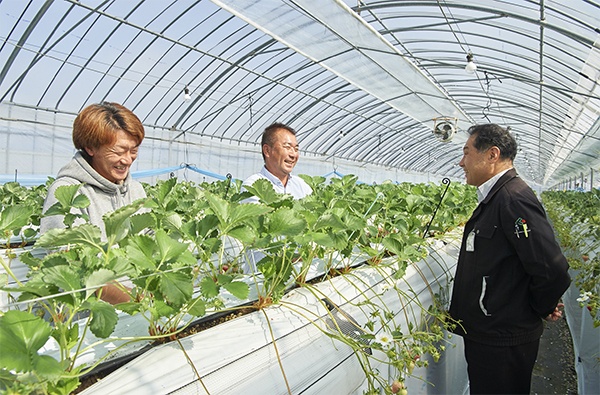 イチゴ農家の徳永さん(写真中央)、息子の達也さん(写真左)と対話する藤本氏