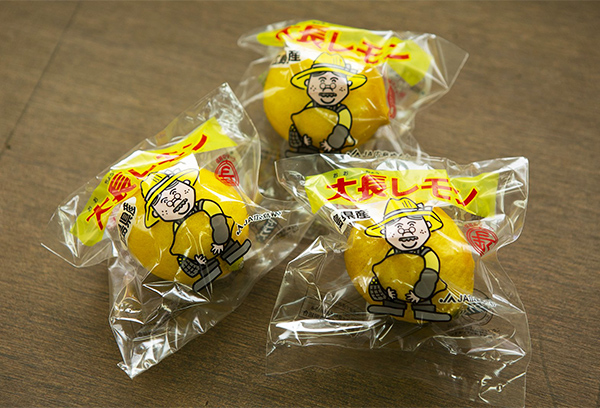個別包装された大長レモン。手間とコストがかかり大量貯蔵に向かないのが難点だ