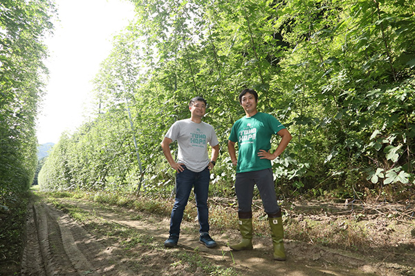 ホップ畑に立つ浅井氏と吉田氏。身の丈の倍以上もあるホップの収穫には大きな機械化投資が必須だ
