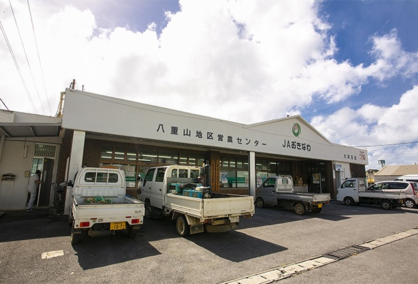 「JA石垣牛」とは、JA石垣牛肥育部会に加入している部会員が八重山郡内で生産・育成された素牛を郡内で肥育し、JAおきなわ八重山地区畜産振興センターを通して販売された枝肉を指す