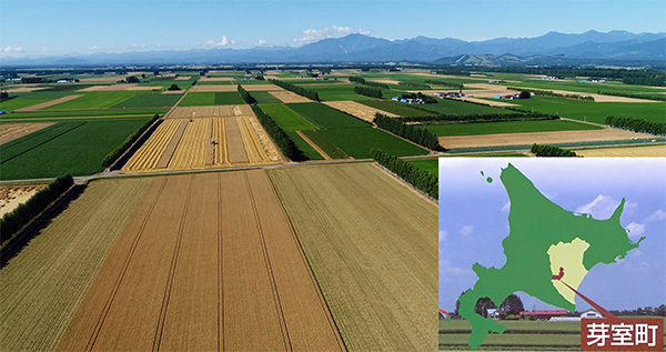 クラウドで小麦を収穫せよ 7日間の決戦 日経ビジネス電子版 Special