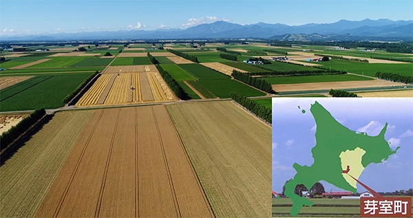 クラウドで小麦を収穫せよ 7日間の決戦 日経ビジネス電子版 Special