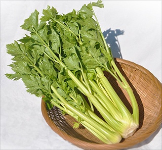 苦みが少なく瑞々しい食感が特長の山形セルリー