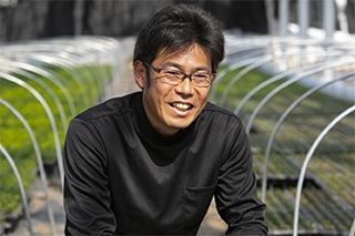 セルリーの魅力に惹かれ脱サラして新規就農した会田洋一氏