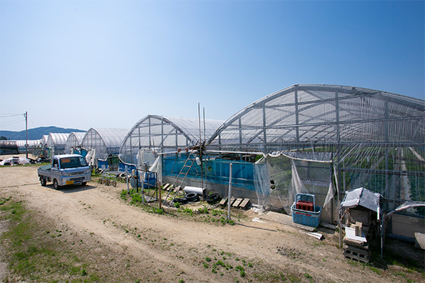 新たなハウスを建てるのには1000万もの高額な費用がかかる
