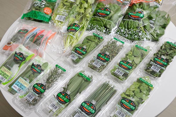 エスビー食品が販売するフレッシュハーブ