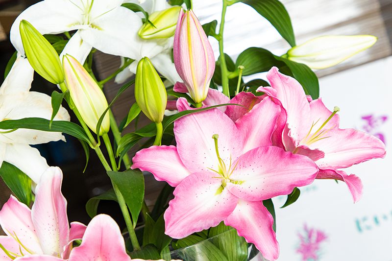 世界に誇るユリブランドは地域再生の切り札となるか - 日経ビジネス