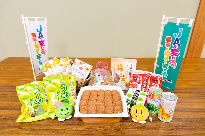 JA紀南がある和歌山県田辺市は、梅のブランドである紀州梅に加え、温州ミカン・中晩柑、スモモ、花き、野菜、茶などの栽培も盛んだ