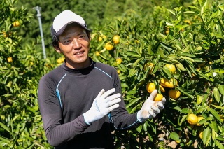会社員から農業に転身した生産者 山本宗平 氏