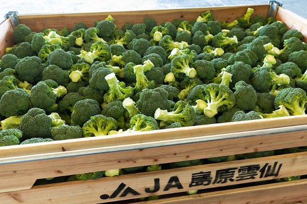 逆境をチャンスに変える 産地づくり の競争戦略 日経ビジネス電子版 Special 逆境をチャンスに変える 産地づくり の競争戦略 日経ビジネス電子版 Special