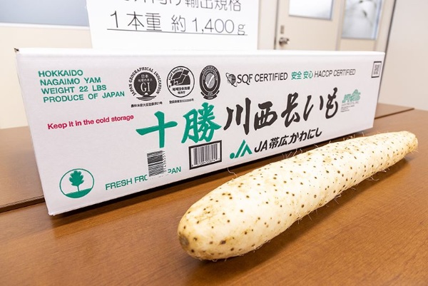「十勝川西長いも」。十勝地域の肥沃な大地、昼夜の寒暖差が、きめ細かく真っ白な肉質と粘りのある長いもを育てる