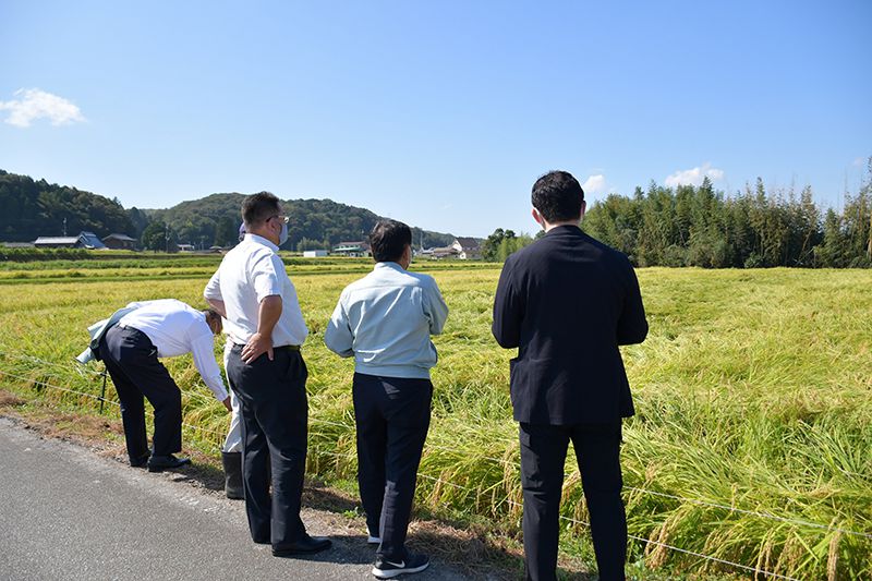 酒蔵と生産者の積極的なコミュニケーションが兵庫県産山田錦の品質を支える
