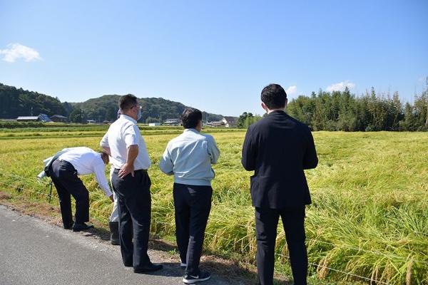 酒蔵と生産者の積極的なコミュニケーションが兵庫県産山田錦の品質を支える