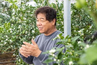 JAアグリあなん すだち部会 部会長 松﨑克弘 氏