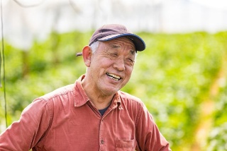 あまイチゴ組合 組合長 佐藤進 氏