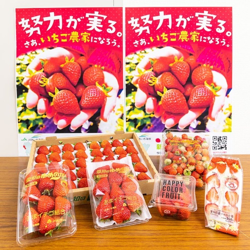 JAあいち海部が販売を担うイチゴ関連商品。イチゴは海部地域の重要な農産物の一つだったが、販売単価の低さが課題だった