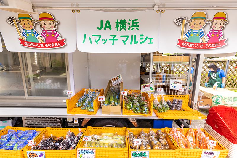 地産地消や都市農業の活性化など「ハマッ子マルシェ」が果たす役割は大きい