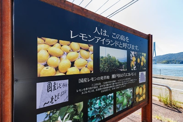 記事冒頭の石碑以外にも、生口島の随所で「せとだエコレモン」のブランドを伝える。こうした掲示が自然豊かな島の印象をさらに鮮烈なものにする