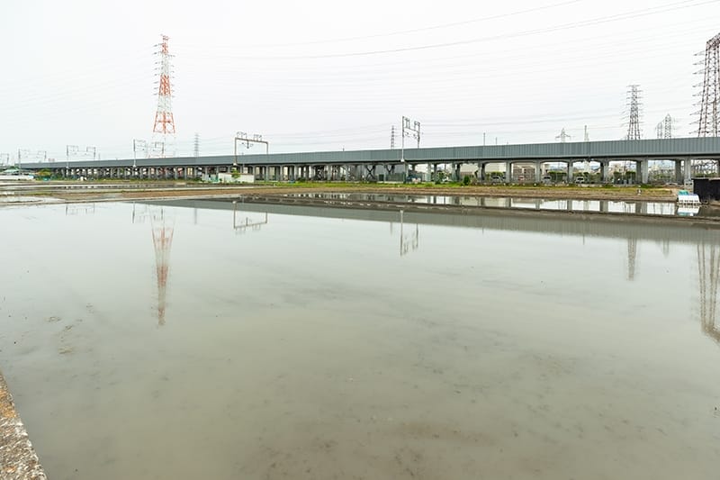 「WE米<sup>&reg;</sup>」の田植えを待つ水田。東海道新幹線の高架沿いに広がる