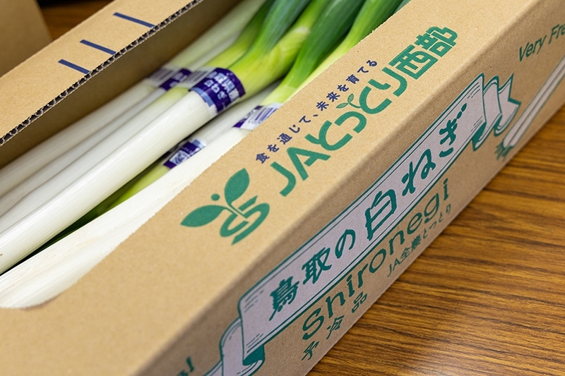 出荷を待つ白ネギ。西日本では有数の産地という。JA鳥取西部の管内では、日本海に突き出る米子市の半島部が、その生産の中心