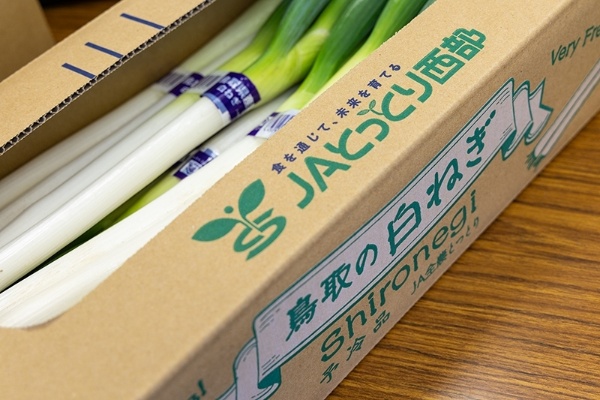 出荷を待つ白ネギ。西日本では有数の産地という。JA鳥取西部の管内では、日本海に突き出る米子市の半島部が、その生産の中心