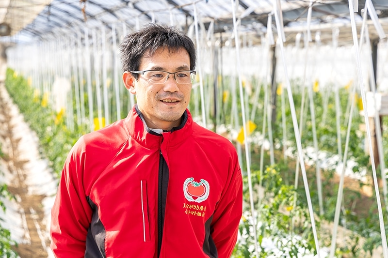 生産者の一人、富田翔一 氏。一度就職するも帰郷し、小串トマトの継承・発展に挑む