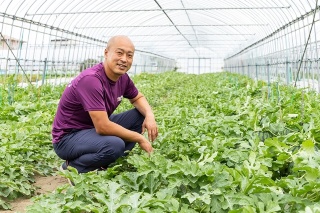 JA金沢市 西瓜部会 部会長 太平武士 氏