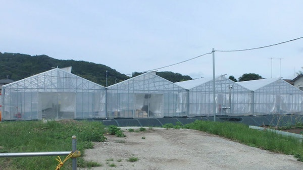 栽培用ハウスの外観(写真:小田急電鉄)