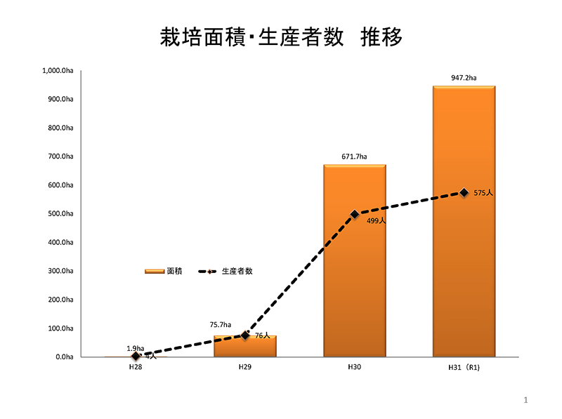 JAえちご上越における「つきあかり」の栽培面積と生産者数の伸び。平成29年から平成30年にかけて一気に10倍近くになり、昨年もさらに拡大した（提供：JAえちご上越）