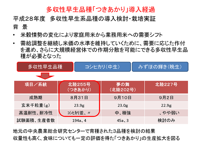 コシヒカリ偏重から、作期分散のコメづくりへ。中生（なかて）のコシヒカリを中心に、早生（わせ）と晩生（おくて）の品種を導入して作期分散を図った（資料提供：JAえちご上越）