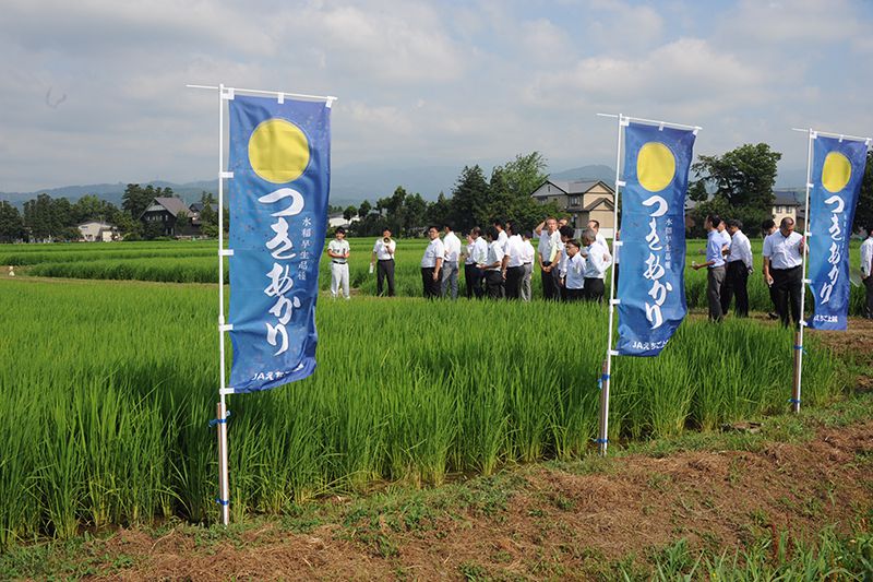 圃場で行われている求評懇談会の様子（写真提供：JAえちご上越）