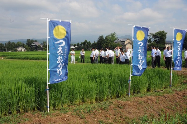 圃場で行われている求評懇談会の様子(写真提供:JAえちご上越)