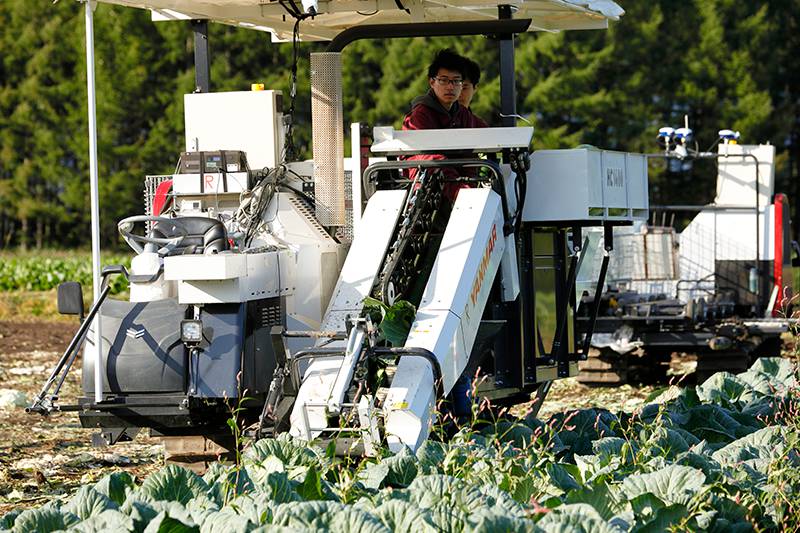 農業機械 高床 作業車 運搬車 運搬機 台車 収穫 ブロッコリー キャベツ 野菜 | www.gost-standard.it