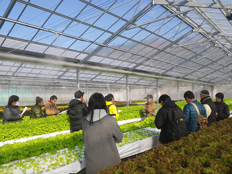 埼玉農業経営塾が2018年度に実施した先進事例視察研修（提供：埼玉県）
