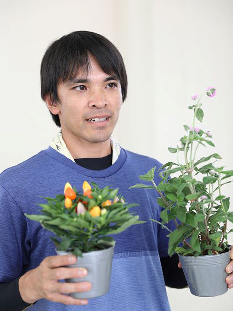 花の苗を出荷する提携農家の海老沢一晃さん（写真：鈴木愛子）