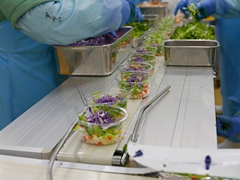 カップサラダの製造工程。数種類のカット野菜が手早く盛り付けられていく