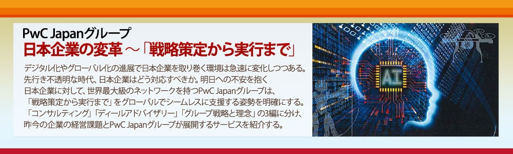 PwC　日本企業の変革～戦略策定から実行まで