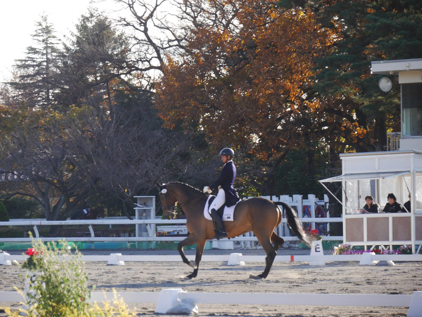 馬術競技の成績集計は、屋外の厳しい環境の中で行われ、直射日光や砂埃、雨風にもさらされる。